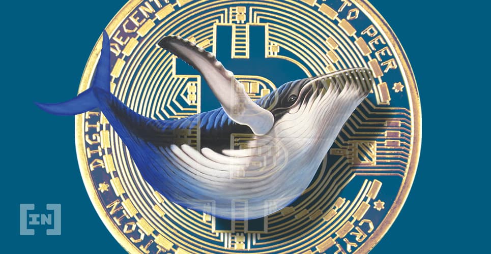 Sau Elon Musk, thật thiếu sót nếu bạn không biết những nhân vật nổi tiếng đang đầu tư Bitcoin