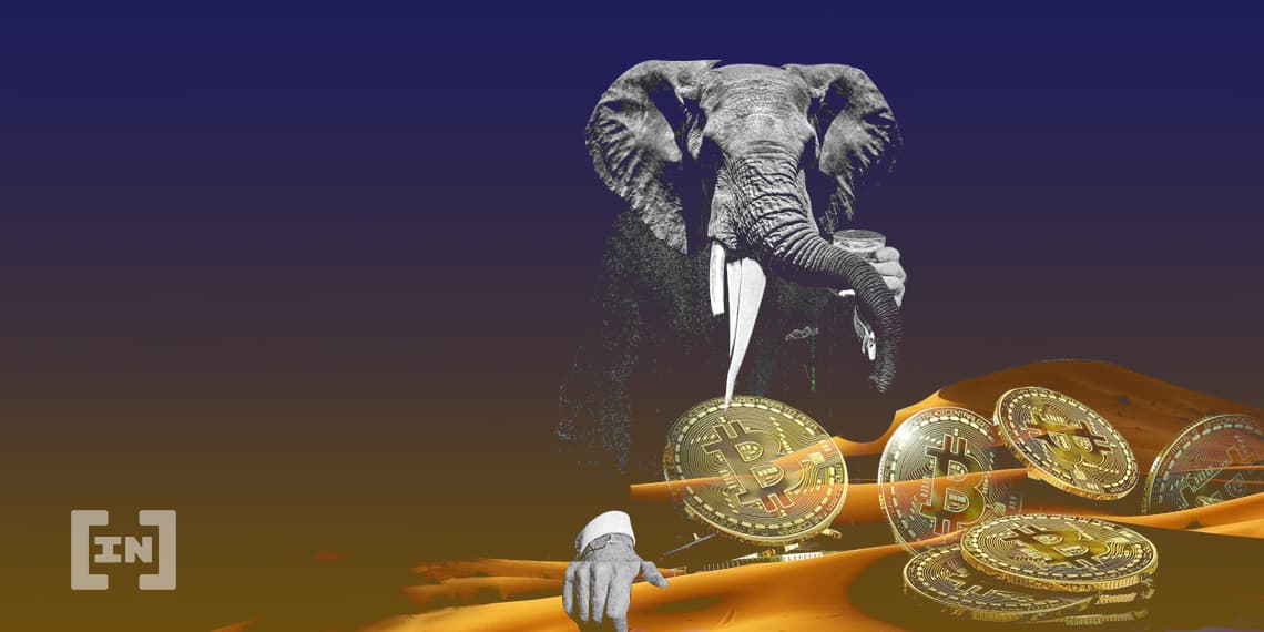 Hashrate BTC giảm nhưng người dùng mới tăng
