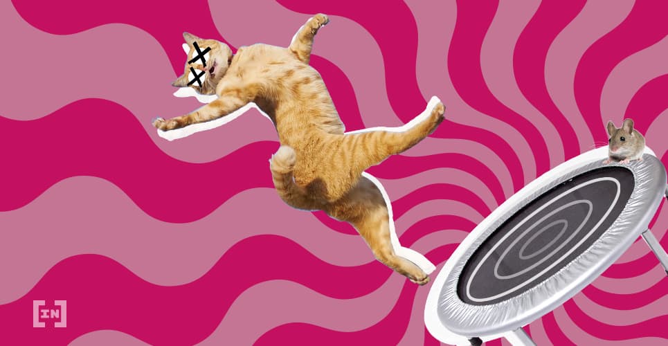 Dead cat bounce là gì? Làm sao để không mắc bẫy Dead cat bounce