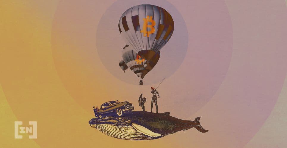 Cá voi đã thu mua gần 50,000 BTC trong đợt thị trường sụt giá vừa qua