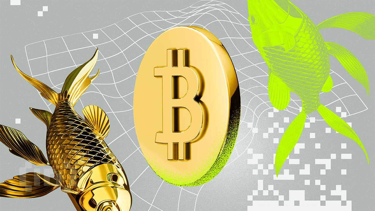 Mối tương quan giữa giá Vàng và Bitcoin đang ở mức cao của hơn 5 năm qua