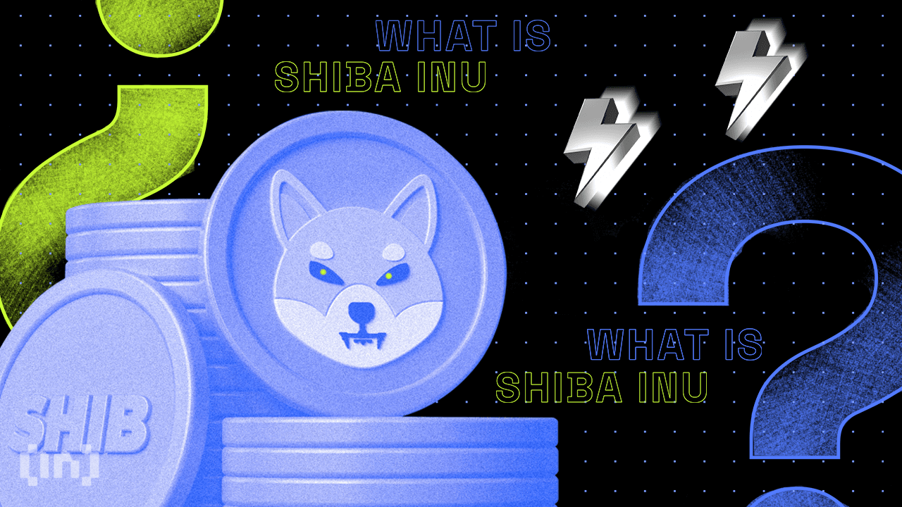 Giá SHIB ngày 11/2: Giảm 23% nhưng xu hướng tăng giá vẫn còn