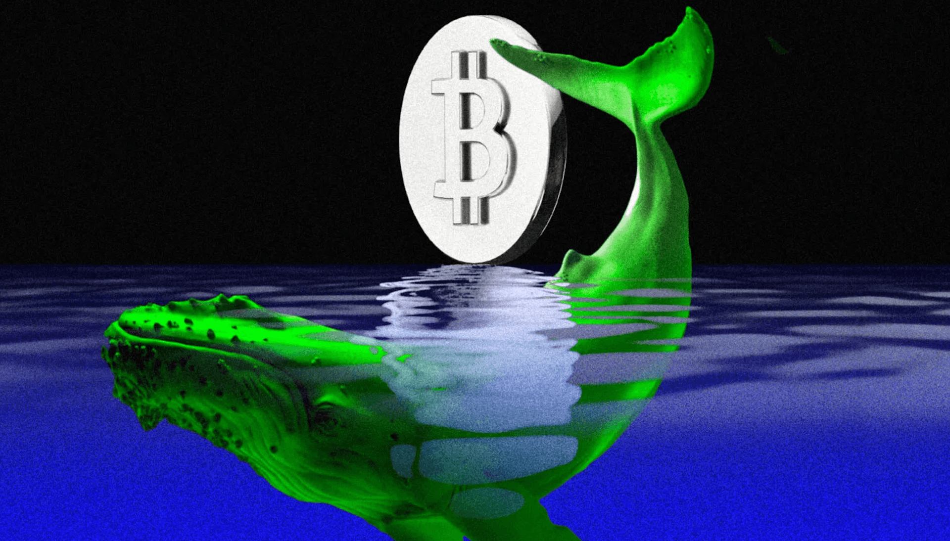 Phân tích on-chain Bitcoin 27/6: Số lượng ví cá voi Bitcoin giảm và đây là điều cần lưu ý