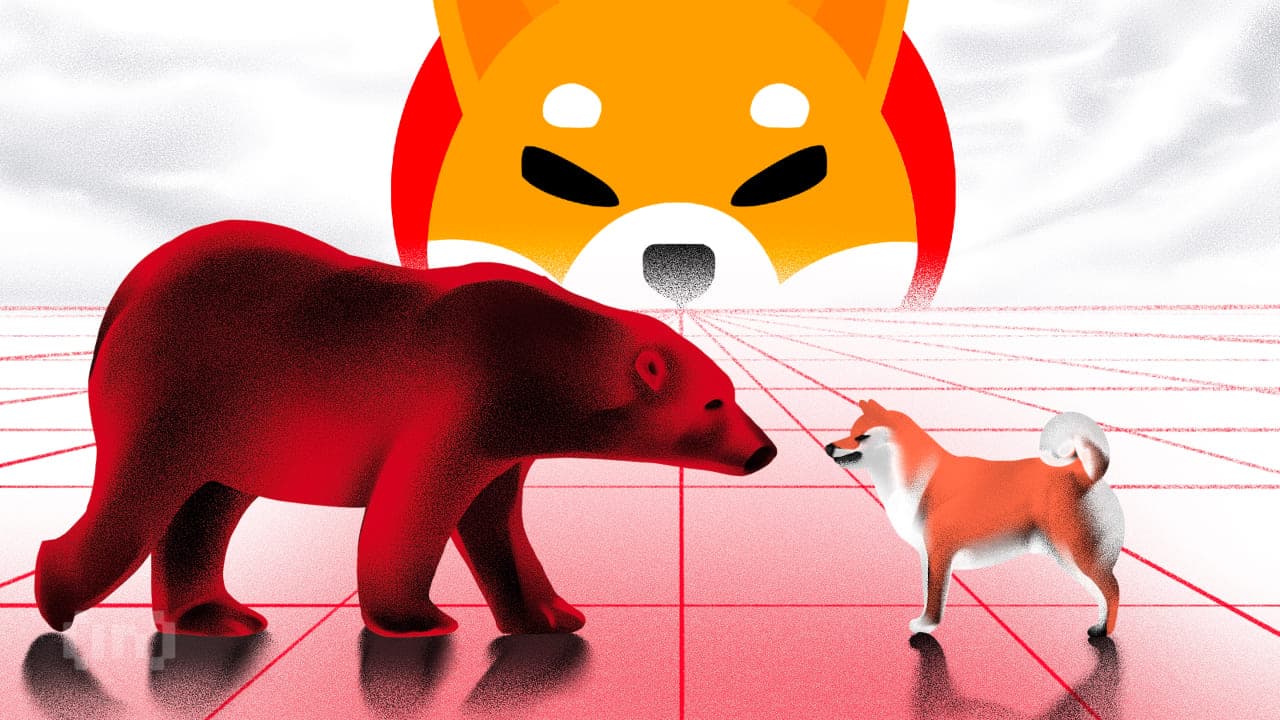 Tương lai của Shiba Inu có vẻ ảm đạm. Hoạt động mạng chậm có phải là nguyên nhân?