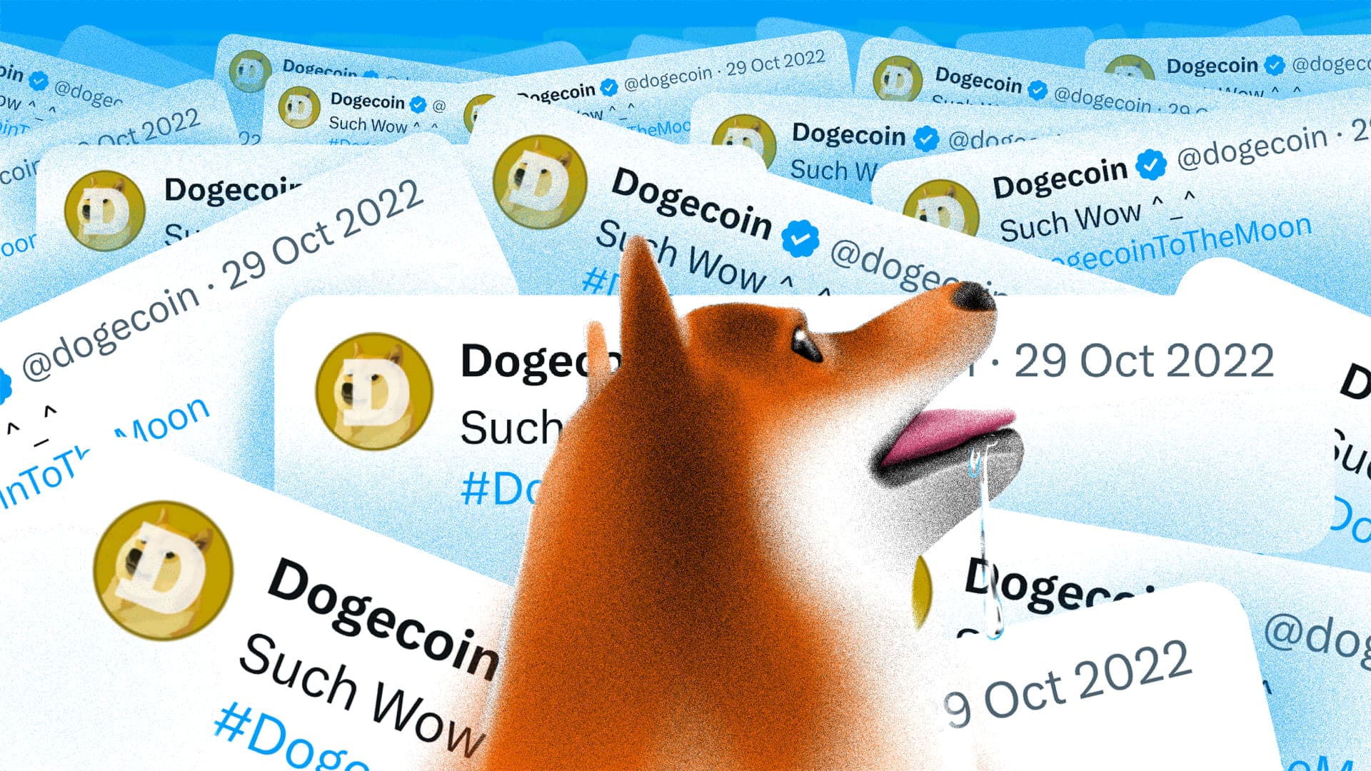 Buồn cho cộng đồng Dogecoin: DogeChain ngừng hoạt động