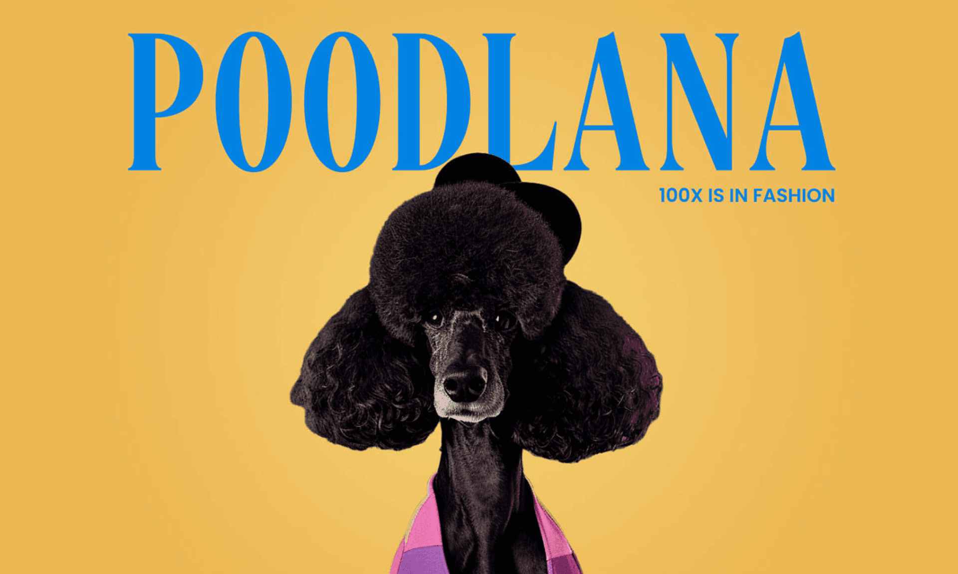 Poodlana (POODL) chuẩn bị ra mắt. Bạn đã sẵn sàng để đón nhận cơ hội đầu tư tiềm năng này?