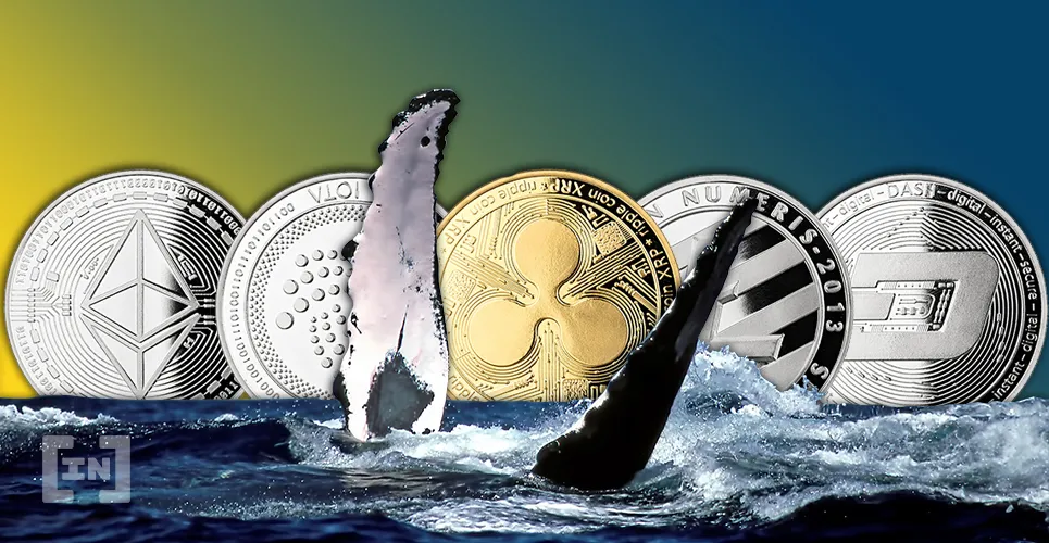 Thị trường đã và đang có một Altcoin Season rực rỡ.