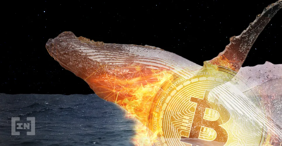 xu hướng giá Bitcoin sẽ diễn ra thế nào