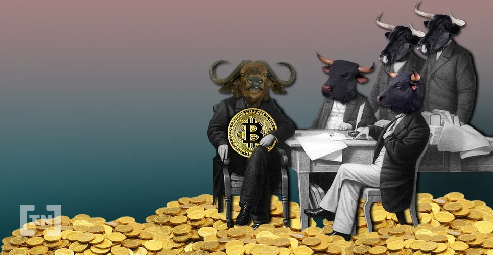 Người ủng hộ Bitcoin lên tiếng, hãy để các tỷ phú và quỹ phòng hộ bị xóa sổ