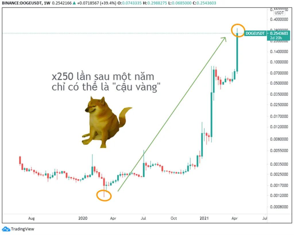 Bạn có kiếm lời được gì với DOGE trong giai đoạn tăng trưởng thần kỳ này?