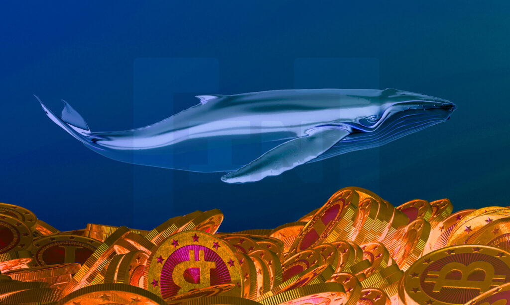 Thị trường Bitcoin là cuộc chơi của "cá voi".