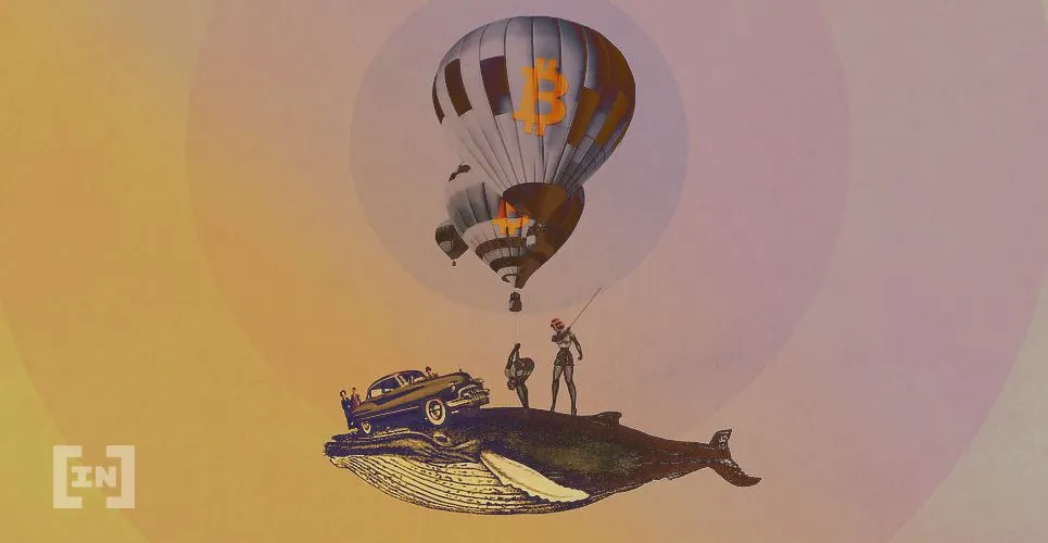 Cá voi tích luỹ hơn 60k BTC trong ngày