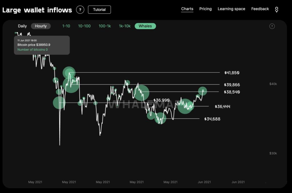 theo WhaleMap, Bitcoin tiền điện tử