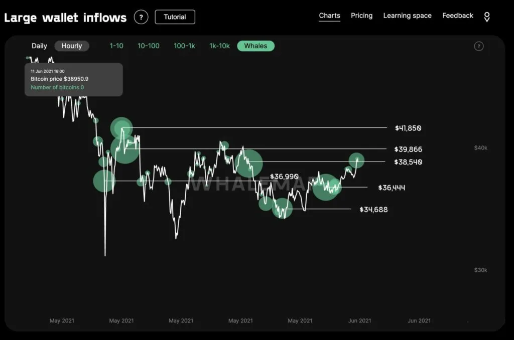 theo WhaleMap, Bitcoin tiền điện tử