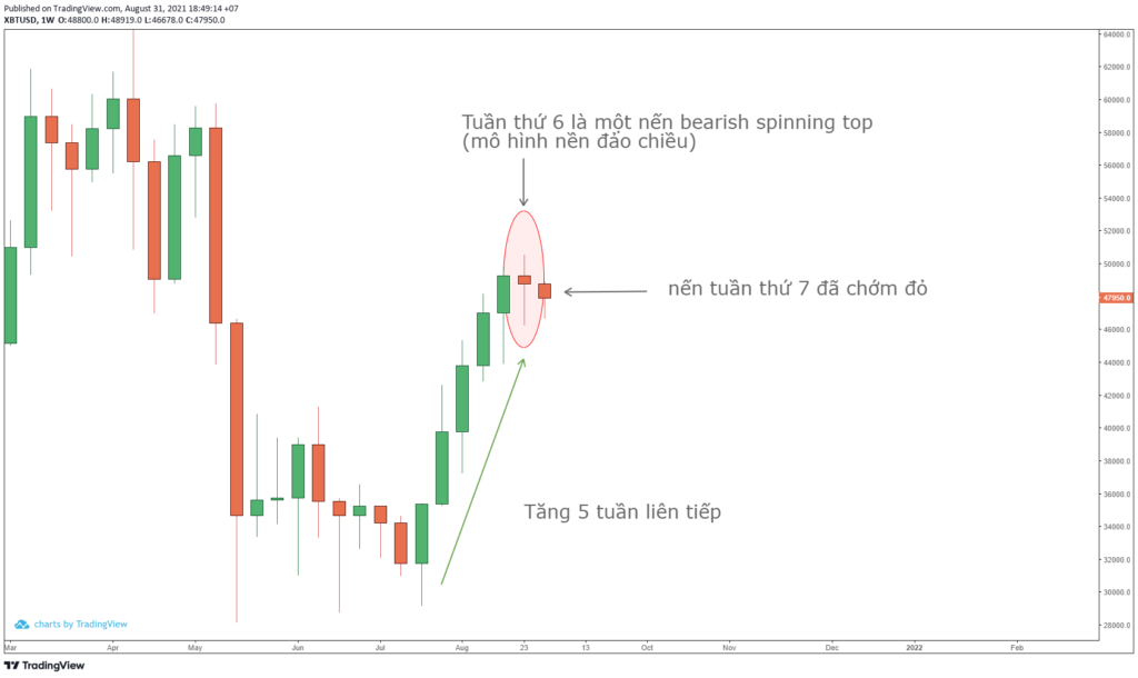Quan sát mô hình nến phục hồi của Bitcoin trong những tháng qua.