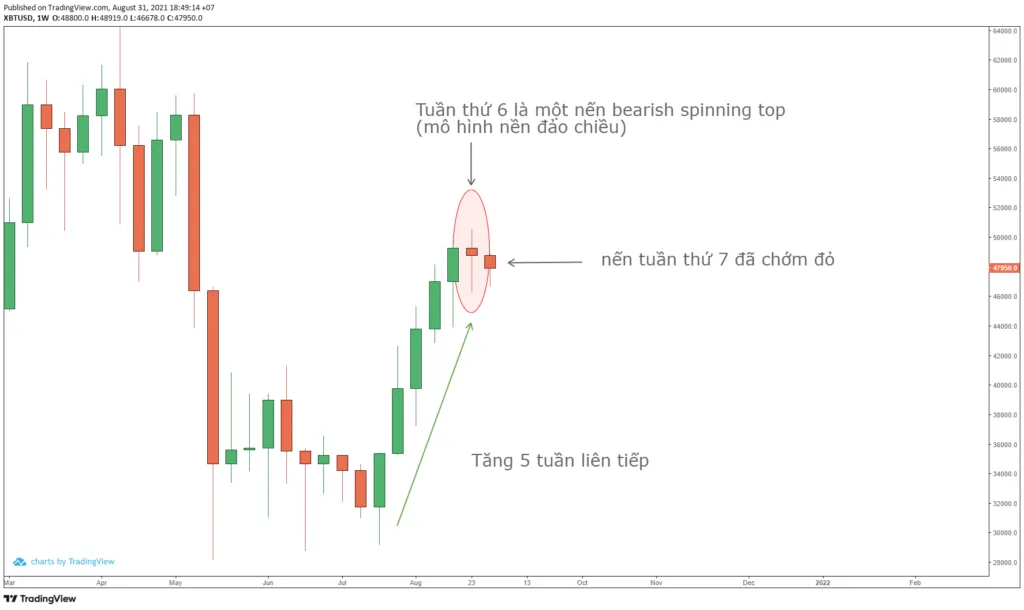 Quan sát mô hình nến phục hồi của Bitcoin trong những tháng qua.