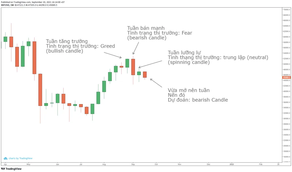 Quan sát mô hình nến tuần của giá Bitcoin.