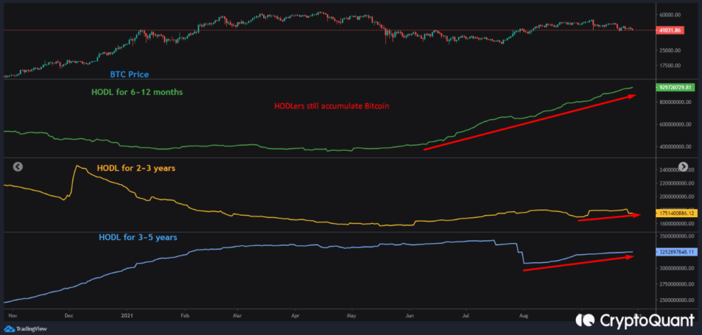 BTC holder vẫn đang tích lũy.