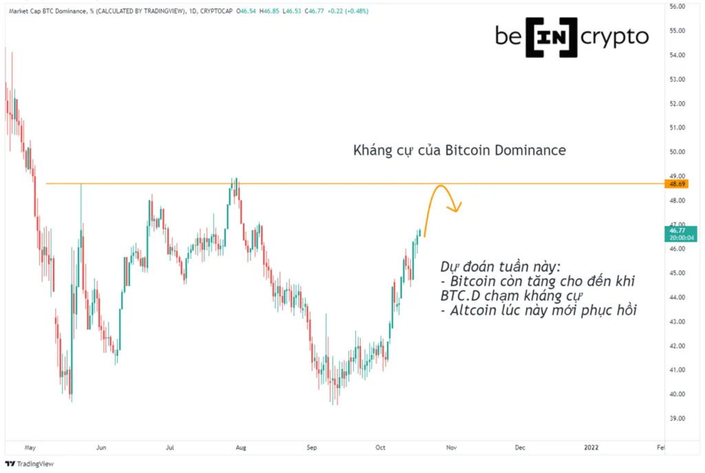 Quan sát và dự đoán biến động của Bitcoin Dominance.