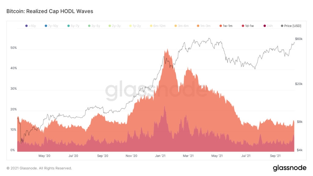 Chỉ báo HODL Wave