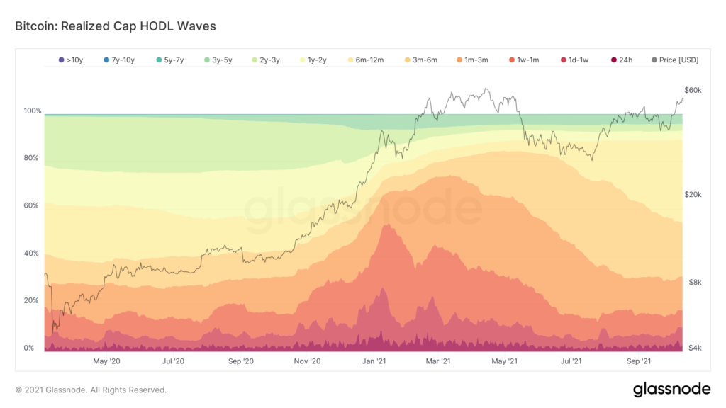Chỉ báo HODL Wave Bitcoin