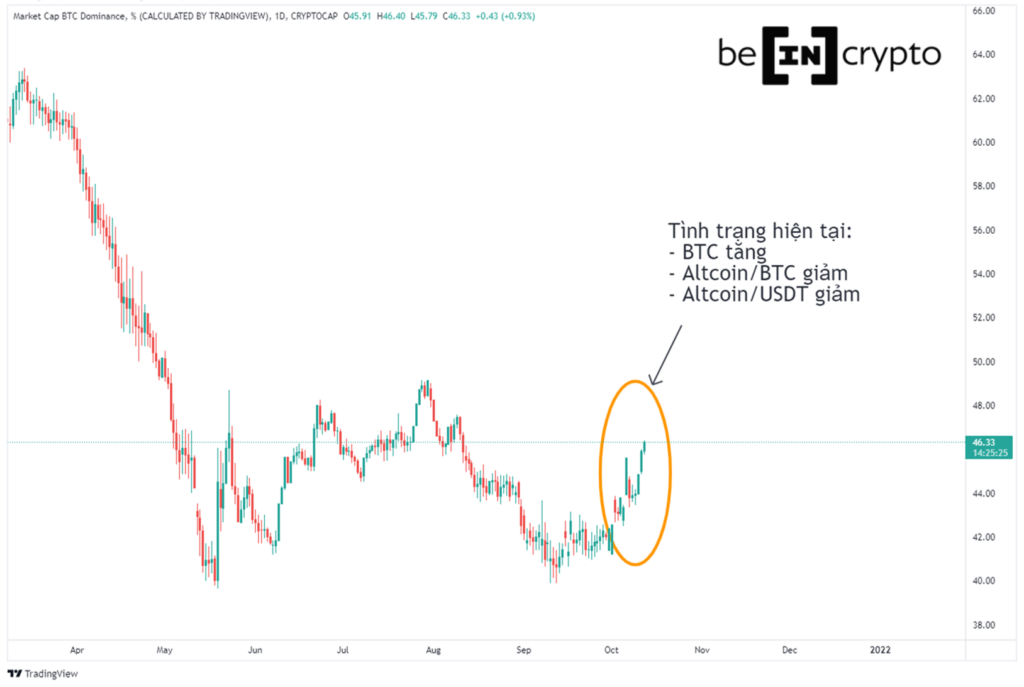 Quan sát biến động của Bitcoin Dominance.