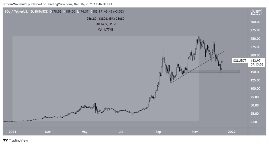 Biến động giá SOL. Nguồn: TradingView.