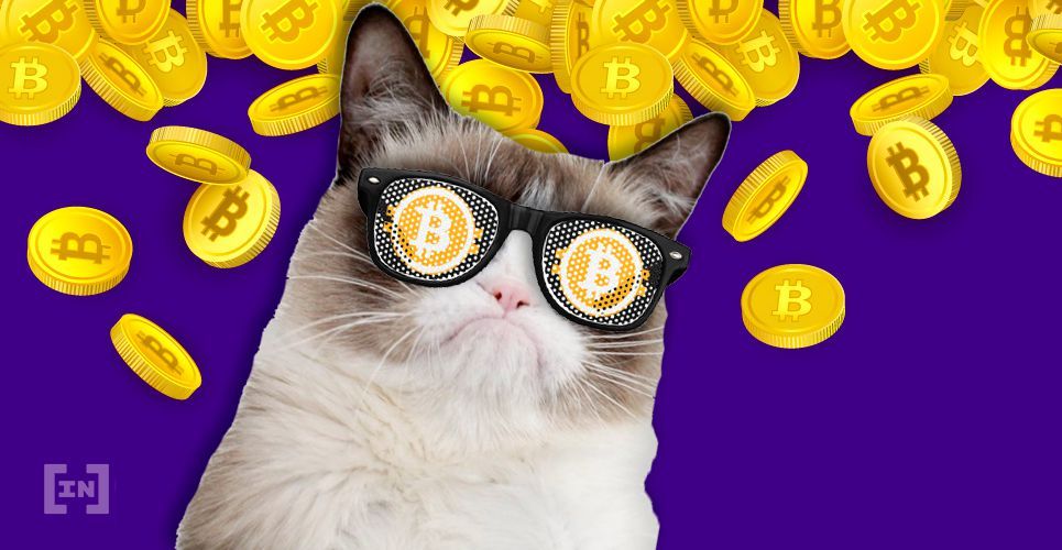 Phân tích kỹ thuật Bitcoin: Xuất hiện tín hiệu phục hồi khung 4h, BTC có thể tăng đến 43,000 USD