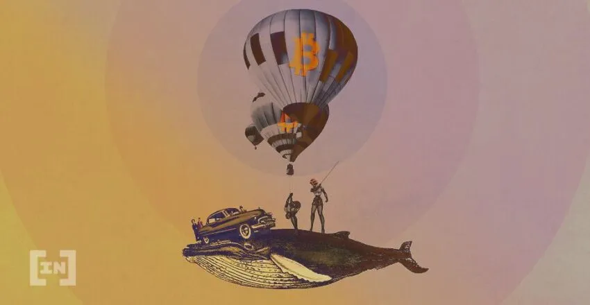 “Cá voi Bitcoin” âm thầm tích lũy ba tháng qua, bạn có đang bán BTC của mình cho “cá voi”?