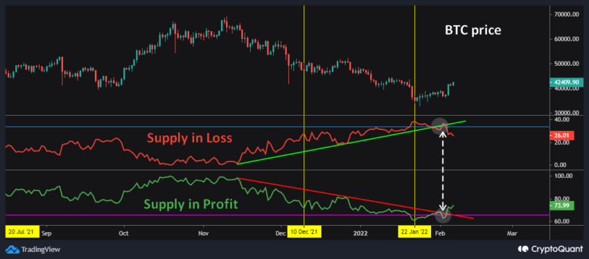 Quan sát tỷ lệ Supply in Loss và Supply in Profit. Nguồn: @BaroVirtual