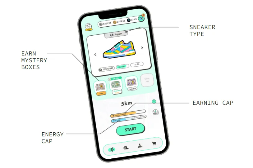 Các thông tin trên giày Sneaker