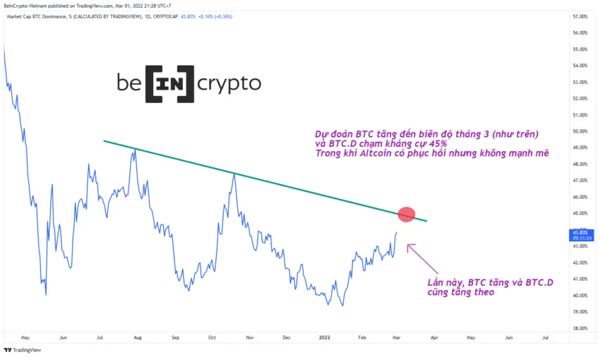 Quan sát Bitcoin Dominance và dự đoán kịch bản.