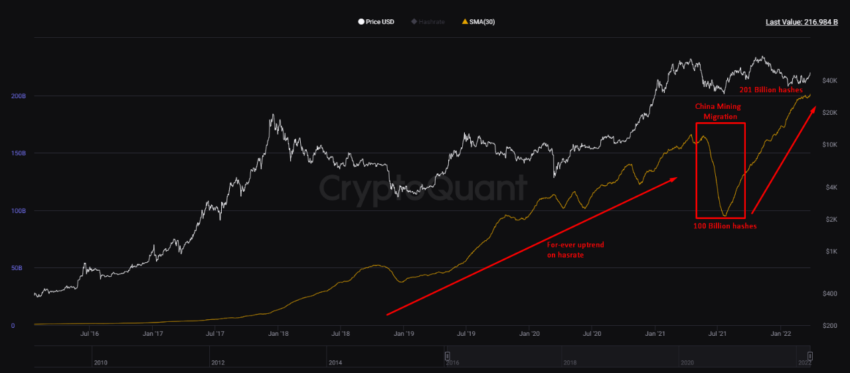 Biến động của Bitcoin Hashrate. Nguồn: CryptoQuant/maartunn