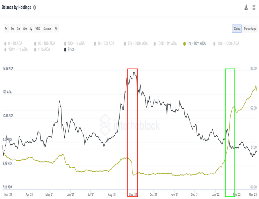 Biểu đồ thể hiện ví cá voi ADA. Nguồn: Intotheblock.