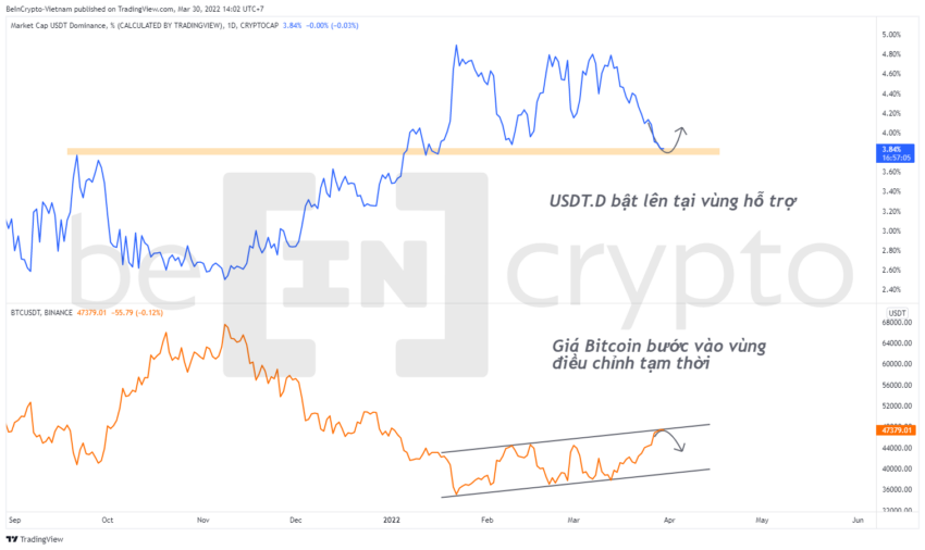 So sánh giá Bitcoin và biến động của tỷ trọng USDT. Nguồn: Beincrypto Vietnam.