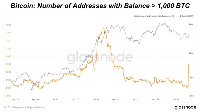 Sự trở lại bất ngờ của ví cá mập hơn 1,000 BTC. Nguồn: Glassnode.