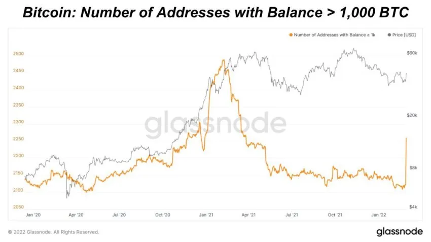 Sự trở lại bất ngờ của ví cá mập hơn 1,000 BTC. Nguồn: Glassnode.