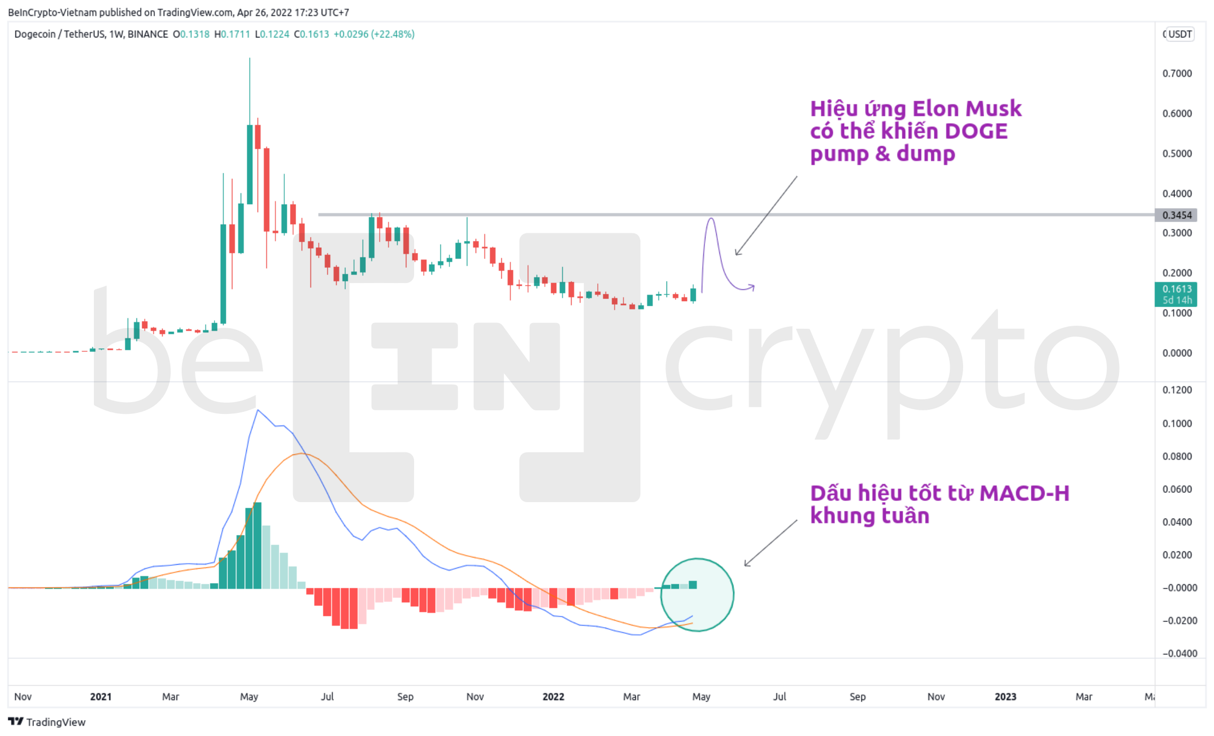 Biểu đồ giá DOGE có thể pump & dump. Nguồn: vn.beincrypto.com