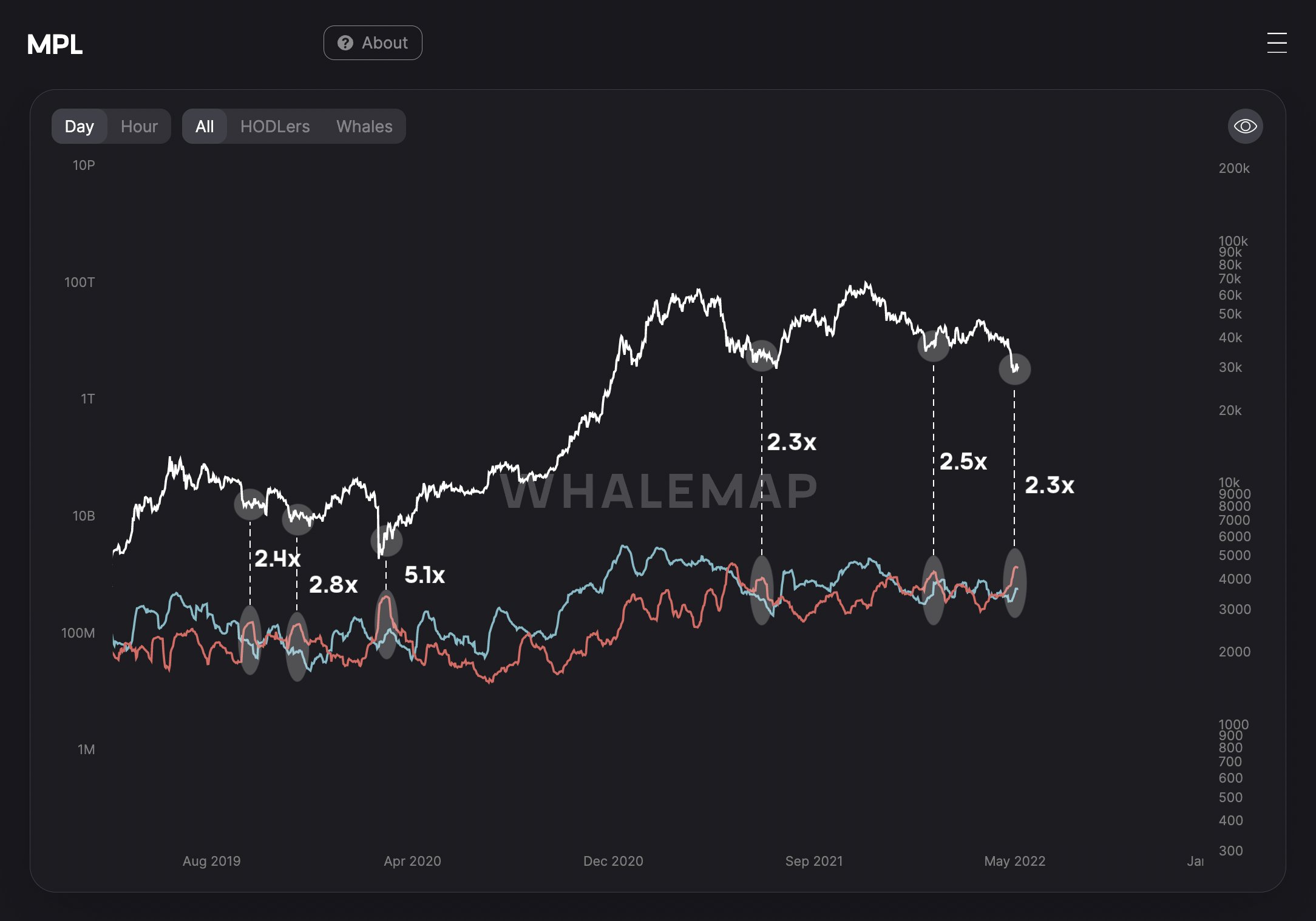 Tỷ lệ lời/lỗ trên chuỗi. Nguồn: Whalemap