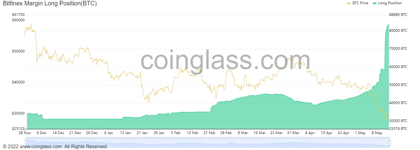 Vị thế Long trên sàn giao dịch Bitfinex. Nguồn: Coinglass