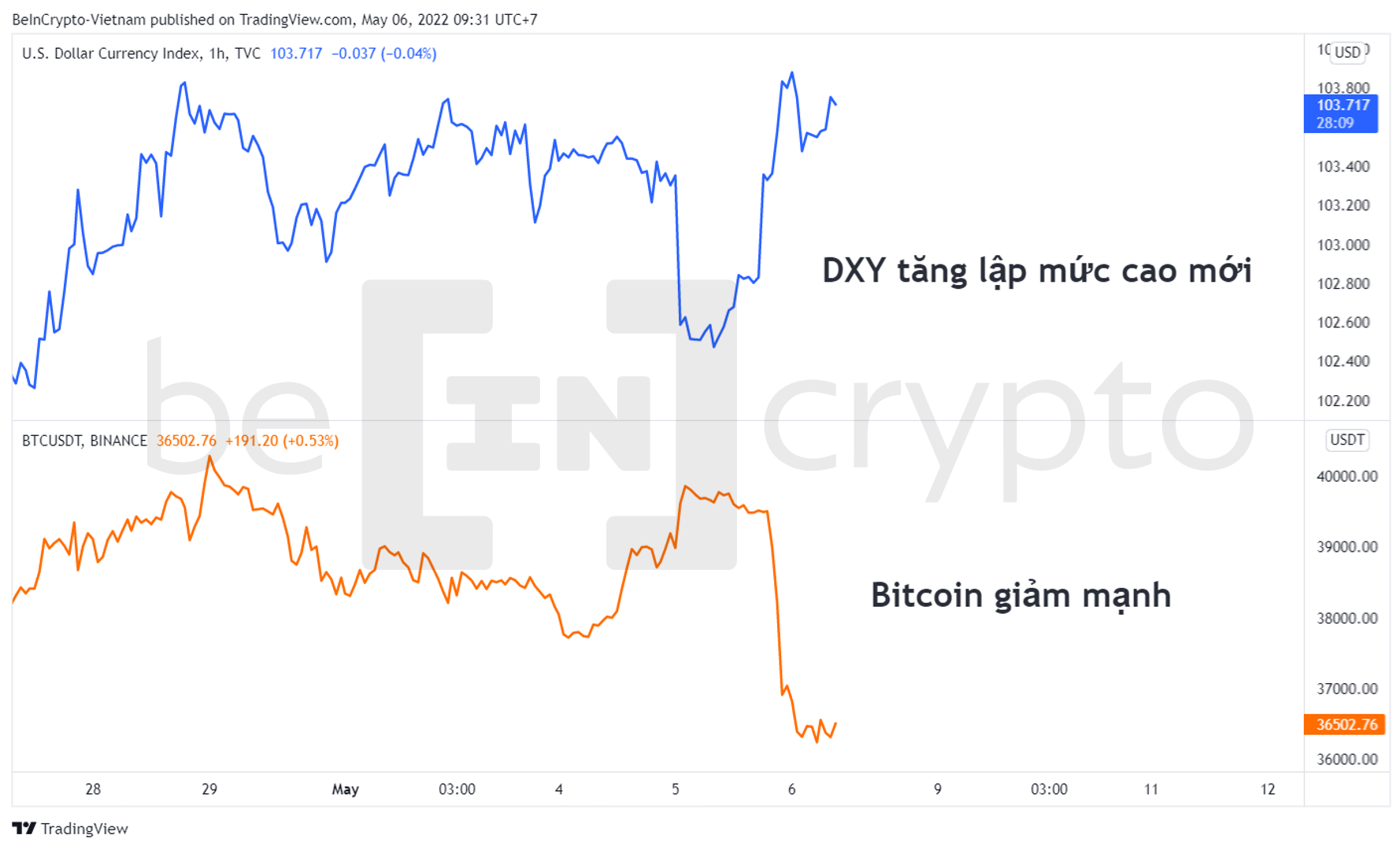 So sánh DXY và BTC. Nguồn: vn.beincrypto.com