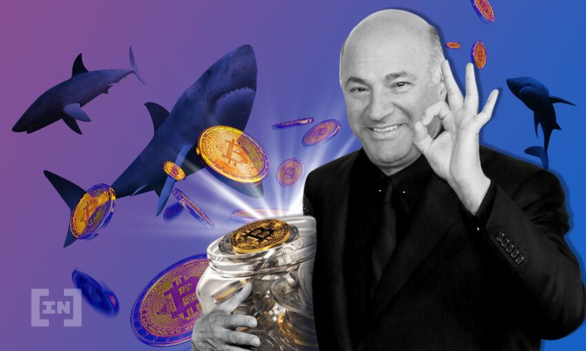 Kevin O’Leary: Bitcoin khó phá vỡ 25,000 USD nếu không có “chính sách”