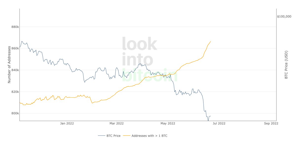 Giá Bitcoin và lượng địa chỉ ví có số dư > 1BTC. Nguồn: intobitcoin.