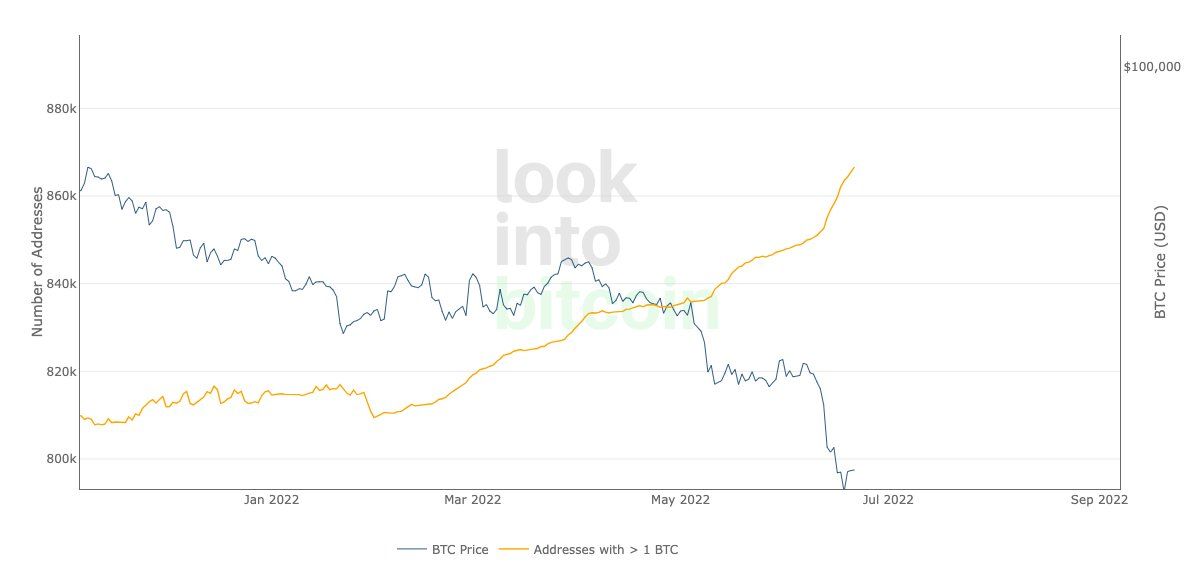 Giá Bitcoin và lượng địa chỉ ví có số dư > 1BTC. Nguồn: intobitcoin.