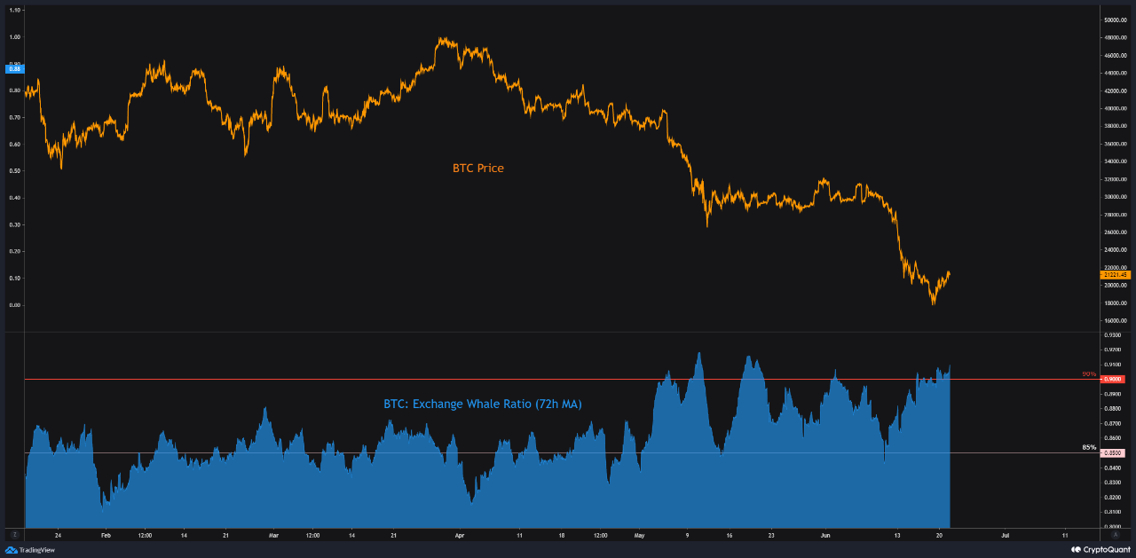 Bitcoin Exchange Whale Ratio. Nguồn: CryptoQuant.