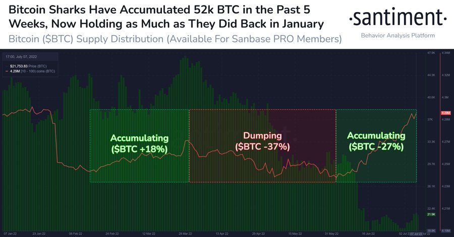 Sự gia tăng lượng BTC của những ví BTC lớn. Nguồn: Santiment.