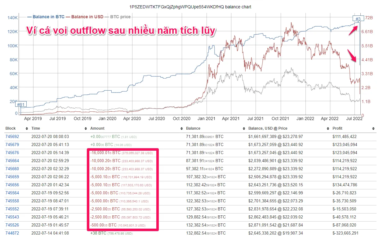 Hoạt động của ví cá voi 1P5ZEDWTKTFGxQjZphgWPQUpe554WKDfHQ. Nguồn: bitinfocharts