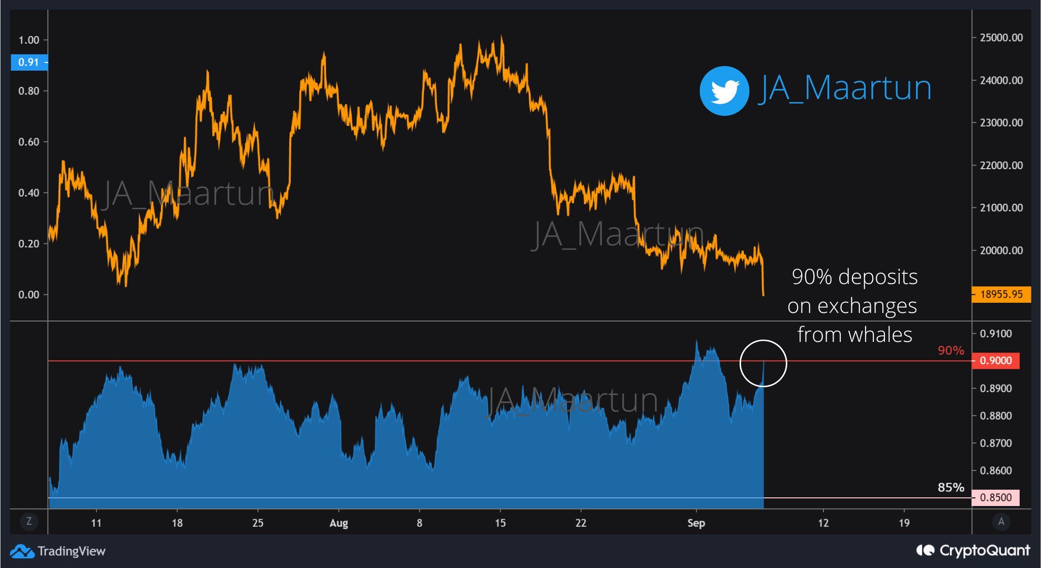 Giá Bitcoin vvà Exchange Whale Ratio. Nguồn: @JA_Maartun