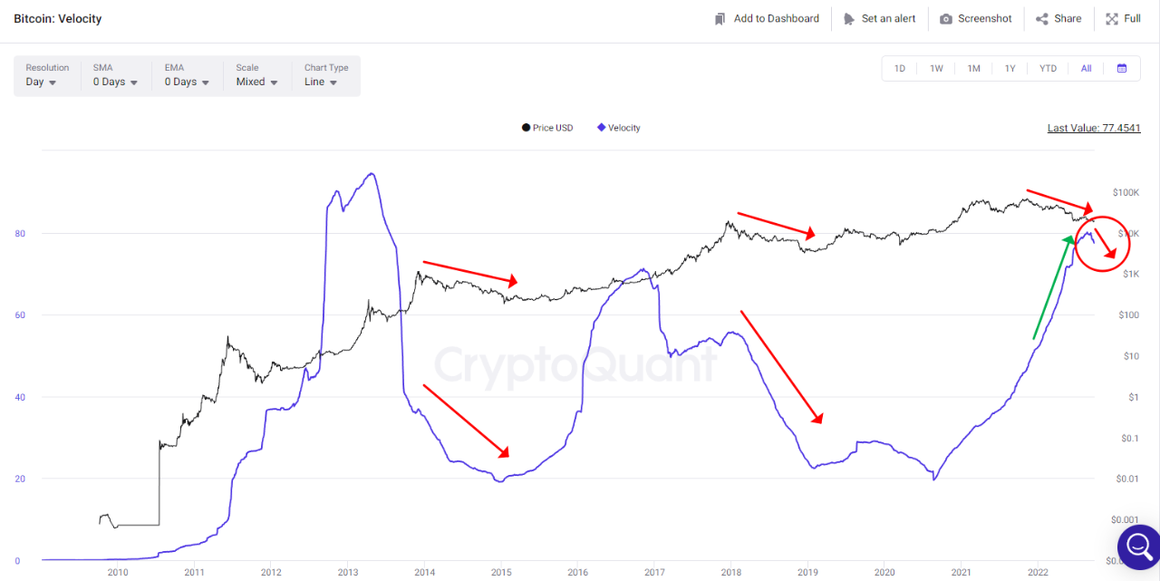 Vận tốc lưu hành Bitcoin. Nguồn: CryptoQuant.