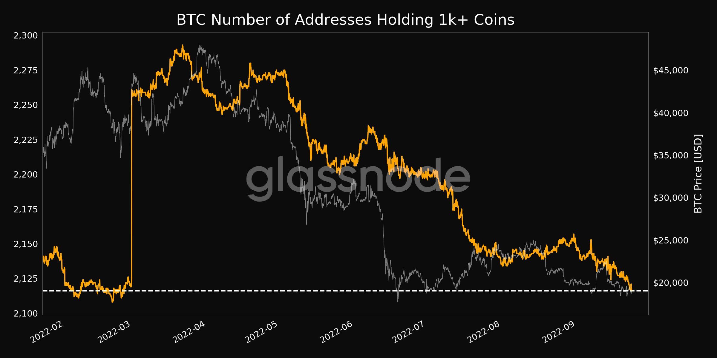 Lượng địa chỉ ví BTC có số dư từ 1,000. Nguồn: glassnode.
